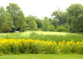 Hilldale Golf Club