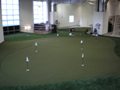 Synthetic Turf International