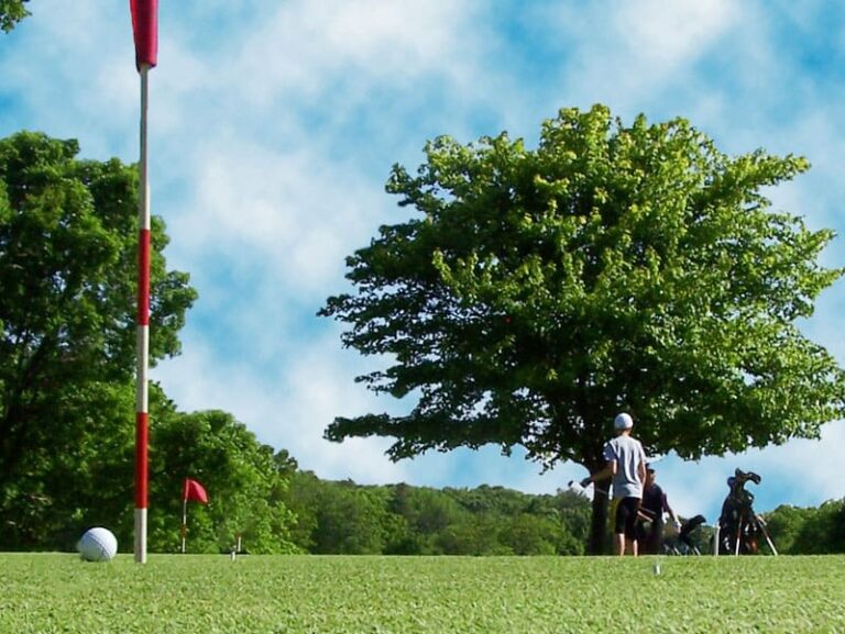 Village greens of woodridge offers a challenging yet affordable golf experience